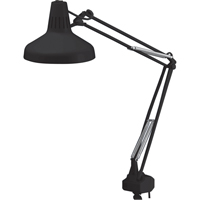 Heavy-duty Combination Task Light, 22/60 W, Fluorescent/Incandescent, 45" Neck, Black Groupe Generik
