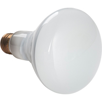 Economy Line Incandescent Lamps Groupe Generik