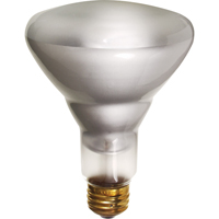 Economy Line Incandescent Lamps Groupe Generik