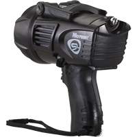 Projecteurs style pistolet Waypoint, DEL, 550 Lumens, Piles C Groupe Generik