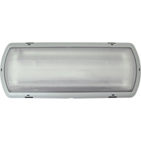 Luminaire de secours Tempesta, Plastique, DEL, 120 - 347 V Groupe Generik