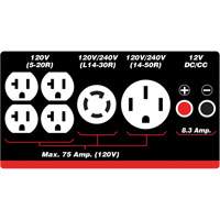 G&eacute;n&eacute;ratrice &agrave; essence/propane &agrave; d&eacute;marreur &eacute;lectrique Groupe Generik