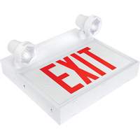 Enseigne de sortie avec &eacute;clairage de s&eacute;curit&eacute;, DEL, &agrave; piles/&agrave; raccordement fixe, 12-1/10" lo x 11" la, Anglais Groupe Generik