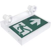 Enseigne d'homme qui court avec &eacute;clairage de s&eacute;curit&eacute;, DEL, &agrave; piles/&agrave; raccordement fixe, 12-1/10" lo x 11" la, Pictogramme Groupe Generik
