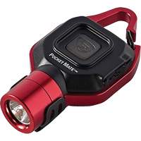 Pocket Mate&reg; USB Flashlight Groupe Generik