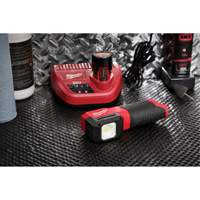 M12 Paint and Detailing Color Match Light, LED, 1000 Lumens Groupe Generik