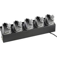 Chargeur de batteries de lampe de poche Survivor X Groupe Generik