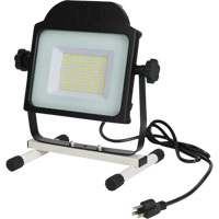 Projecteur, DEL, 100 W, 10000 lumens Groupe Generik