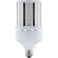 Ampoule HID de remplacement sélectionnable ULTRA LED<sup>MC</sup>, E26, 18 W, 2700 lumens XJ275 | Groupe Generik