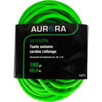 Cordon rallonge de calibre industriel, Toutes saisons, SJTW, AWG 10/3, 15 A, 100' Groupe Generik