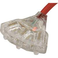 Rallonge pour g&eacute;n&eacute;ratrice avec triple fiche, STW, AWG 10, 3 prise(s), 25' Groupe Generik